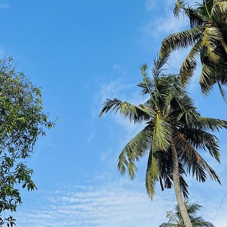 Jilan Homestay بينتوتا المظهر الخارجي الصورة